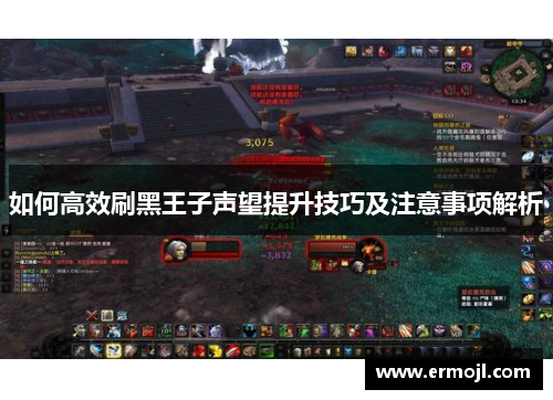 如何高效刷黑王子声望提升技巧及注意事项解析